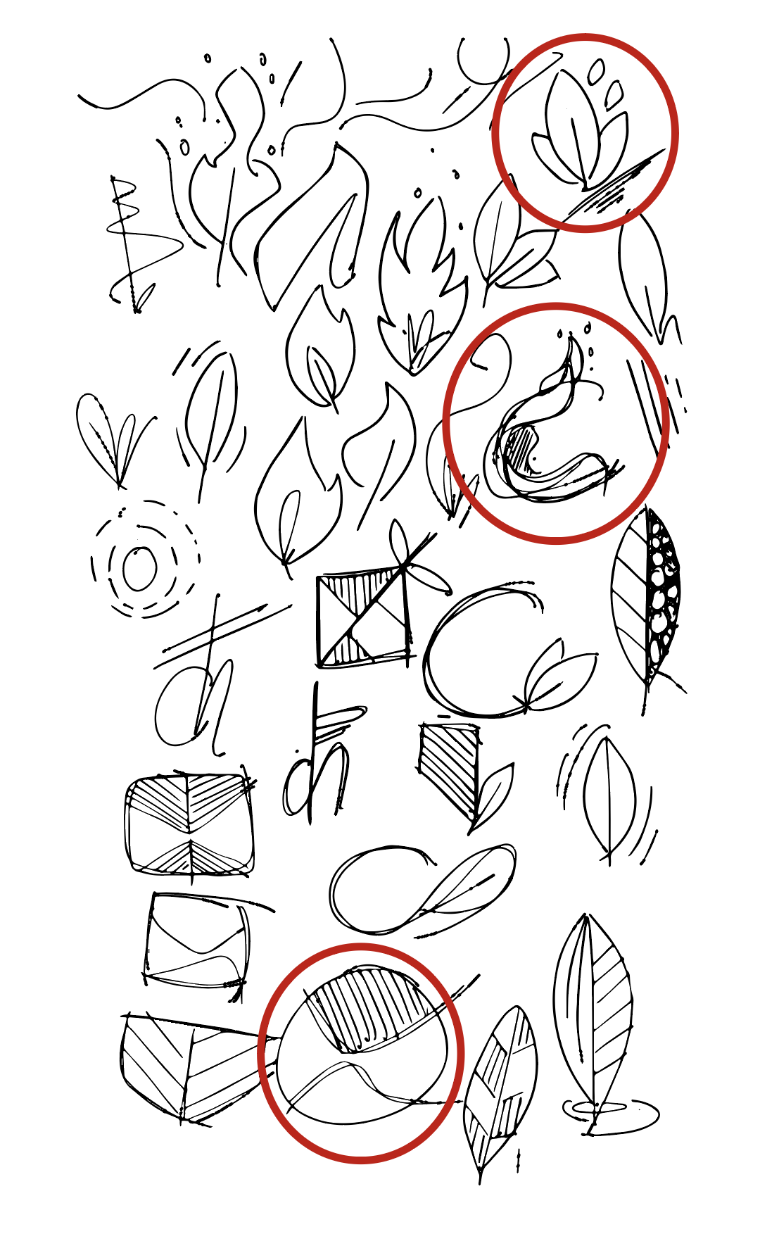Hand-drawn Centre for Human Flourishing logo concepts exploring organic forms